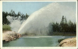 Riverside Geyser, Yellowstone Park Postcard