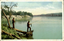 Trout Fishing On The Yellowstone, Yellowstone Park Postcard