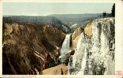 Lower Falls Of The Yellowstone Yellowstone National Park Postcard Postcard