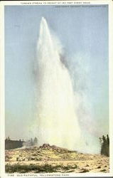 Old Faithful, Yellowstone Park Postcard