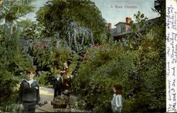 A Rose Garden Flowers Postcard Postcard