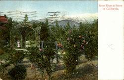 From Roses To Snow In California Scenic, CA Postcard Postcard