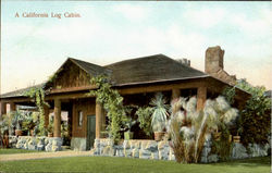 A California Log Cabin Postcard