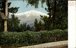 Mt. San Bernardino Scenic, CA Postcard Postcard