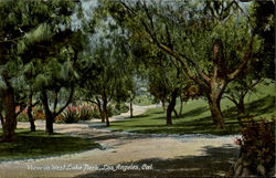 View In West Lake Park Postcard