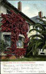 Bouganvillea Vine On A California Residence Scenic, CA Postcard Postcard