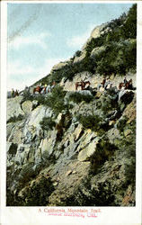 A California Mountain Trail Scenic, CA Postcard Postcard