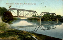 Scene On The Feather River Yuba City, CA Postcard Postcard