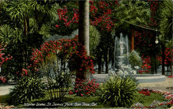 Winter Scene, St. James Park San Jose, CA Postcard Postcard