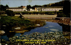 California Academy Of Sciences, Golden Gate Park San Francisco, CA Postcard Postcard