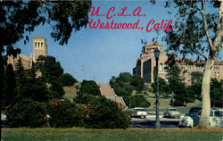 U.C.L.A. Westwood Postcard