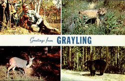 Greeting From Grayling Postcard