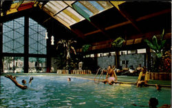 The Curtis Hotel Tropical Pool And Motor Lodge Postcard