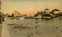 The Yacht Basin Daytona Beach, FL Postcard Postcard