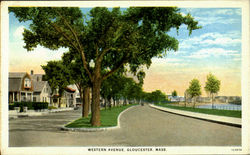 Western Avenue Postcard