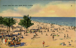 Palms Sand And Surf Miami Beach, FL Postcard Postcard