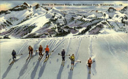 Skiing On Mazama Ridge, Rainier National Park Washington Mount Rainier National Park Postcard Postcard