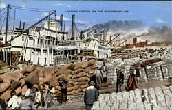 Loading Cotton On The Riverfront Postcard