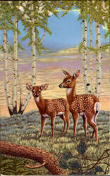 Springtime Deer Postcard Postcard