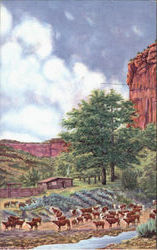 A Cowboy's Cottage Postcard