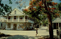 Royal Poinciana Blooms Near Quaint Architecture Key West, FL Postcard Postcard