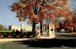 Virginia Military Institute Postcard