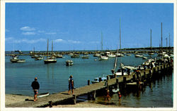 Vineyard Haven Harbor Massachusetts Postcard Postcard