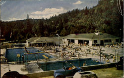 Forest Swimming Pool Santa Cruz, CA Postcard Postcard