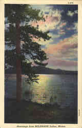 Greetings from Belgrade Lakes Maine Postcard Postcard