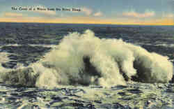 The Crest of a Wave from the Briny Deep Postcard