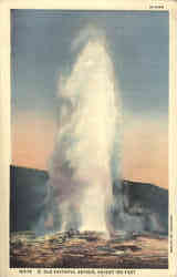 Old Faithfull Geyser, Height 150 Feet Yellowstone National Park, WY Postcard Postcard