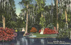 Reflection Pool, Cypress Gardens Postcard