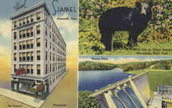 Hotel St. James Knoxville, TN Postcard Postcard