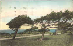 The Cedars at West Chop Postcard