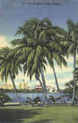 The Beautiful Palm Beaches Scenic, FL Postcard Postcard