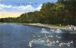 A Familiar Sight, Barron Lake Near Niles, MI Postcard Postcard