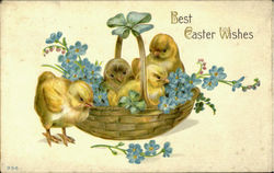 Best Easter Wishes Postcard