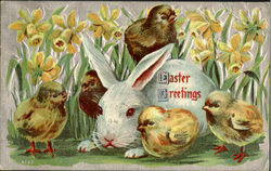 Easter Greetings With Chicks Postcard Postcard