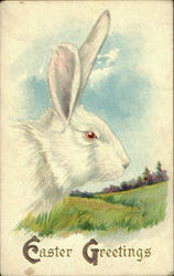 Easter Greetings Postcard