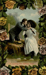 A Netting For Kissing Bugs Postcard