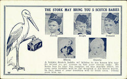 The Stork May Bring You 5 Scotch Babies Scotland Postcard Postcard