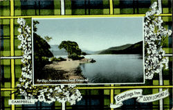 Net Bay, Rowardennan, Loch Lomond Postcard