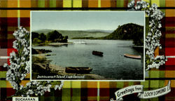 Inchtavanach Island, Loch Lomond Postcard