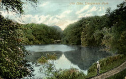 The Lake, Dungannon Park Postcard