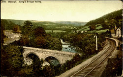 Berwyn King's Bridge Valley Postcard