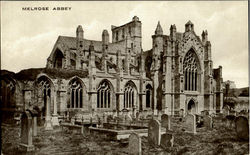 Melrose Abbey Postcard