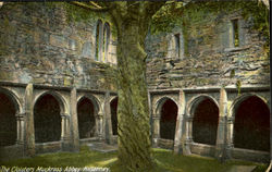 The Cloisters Muckross Abbey Killarney, England Ireland Postcard Postcard