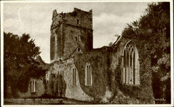 Muckross Abbey From South Killarney Postcard