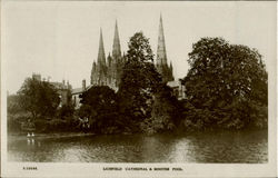 Litchfield Cathedral & Minster Pool England Postcard Postcard