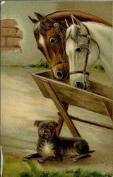 Horses & Bulldog Postcard